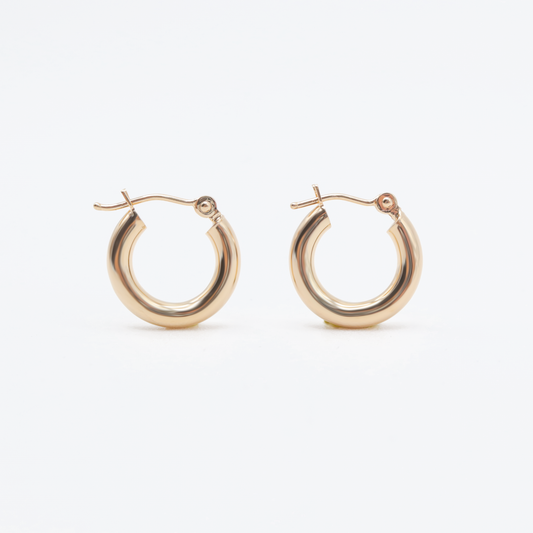 The Mini Thick Hoops